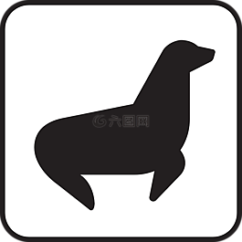 密封,游,野生動物