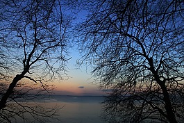海,海洋,水