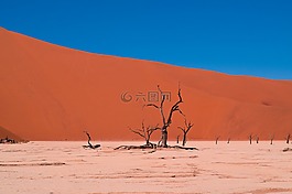 干旱,荒蕪,沙漠