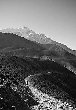 徒步旅行,径,山径