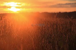 日出,太阳,日落