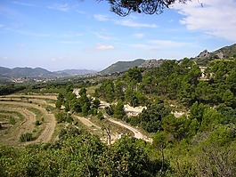 山,景觀,樹