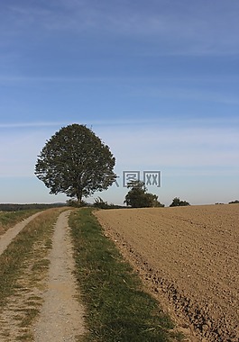 離,藍(lán)藍(lán)的天空,景觀