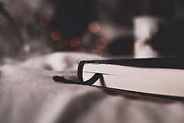 本書,讀取,圖書