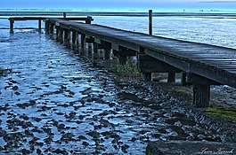 dangast,网站,北海