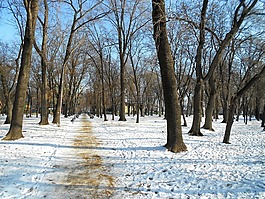 摩爾多瓦,公園,冬天