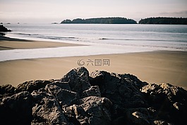 海岸線,海岸,岸