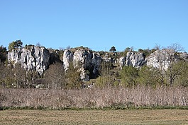勃艮第,岩石saussois,性质