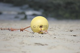 耶,浮體,黃色