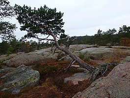 skuleskogen 国家公园,瑞典,徒步旅行