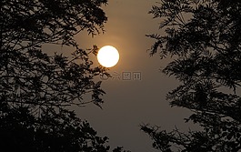 日落,自然,側(cè)影