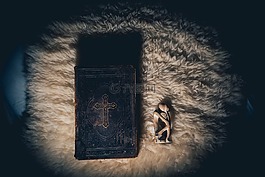 圣經(jīng) 》,圣經(jīng),本書