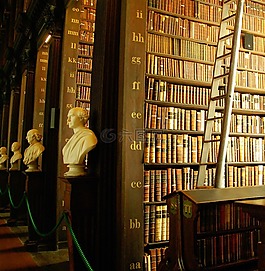 圖書館,書,圣三一學(xué)院