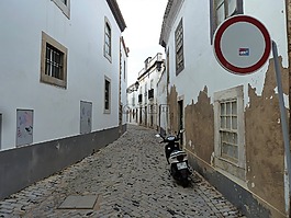 建筑物,街,玫瑰