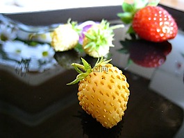 野草莓,白,紅色