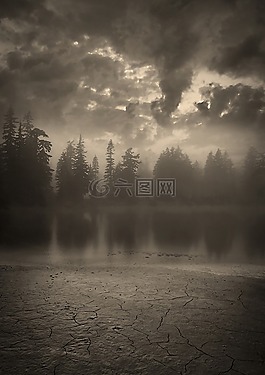 森林,夜,黑暗