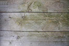 木,背景,結(jié)構(gòu)