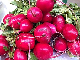 蘿卜,食品,營養(yǎng)