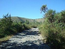 線(xiàn)索,石頭,夏季