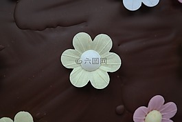 裝飾,花卉,巧克力蛋糕
