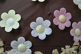 裝飾,花卉,巧克力蛋糕
