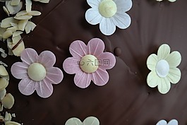 裝飾,花卉,巧克力蛋糕