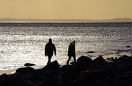 人類,背光,海岸