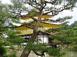 日本,京都,寺