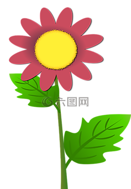 太陽花,紫色向日葵,植物