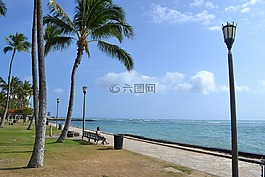 夏威夷,海灘,假期