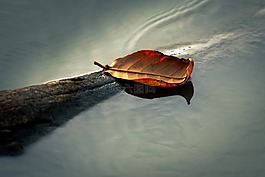 水,自然,戶外