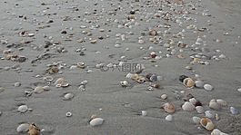 石頭,海灘,gagal