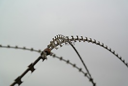 北約電線,鐵絲網(wǎng),尖銳