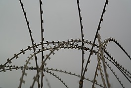 北約電線,鐵絲網(wǎng),尖銳