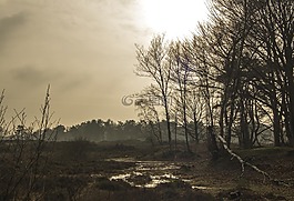 背景,性质,空气