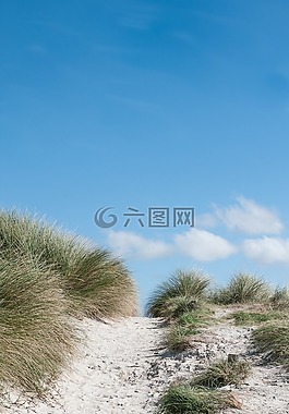 藍色,天空,云