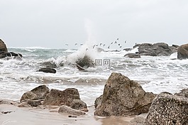 海,海洋,水