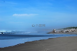 海滩浮木,海洋,俄勒冈