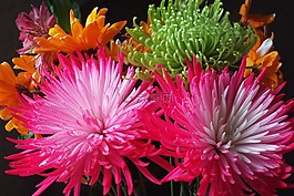 鮮花,異國情調(diào),綠色