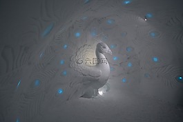 冰旅館,孔雀,雪