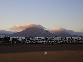 海灘,海,鷗