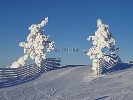 自然,冬天,雪