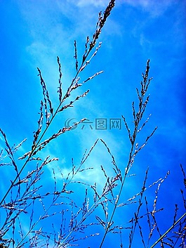 himmel,云,草的