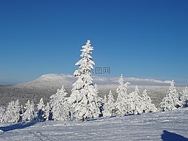 自然,冬天,雪