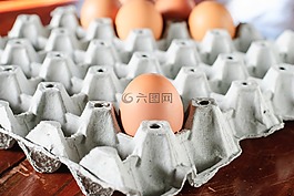 雞蛋,食品,烹飪