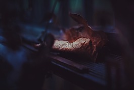 葉,秋天,秋