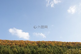 濟州島,olle 鰓,濟州