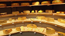 奶酪,類型,店