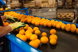 橙色,生产,填料
