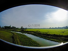 越南,火車旅行,水稻